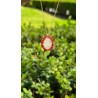 Cadena Con Dije Virgen Milagrosa y Coral – Victoria Fine Jewelry